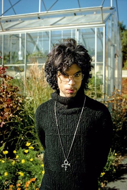 Discover Prince
