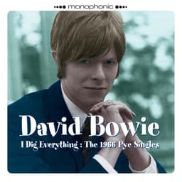 Cover art for I Dig Everything: The 1966 Pye Singles