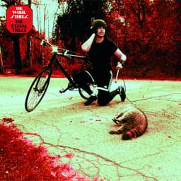 Cover art for The Denial Twist