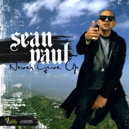 Cover art for Never Give Up
