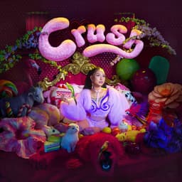 Cover art for Crush