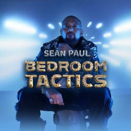 Cover art for Bedroom Tactics