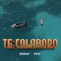 Cover art for Te Colaboro