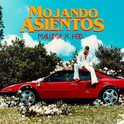 Cover art for Mojando Asientos (feat. Feid)