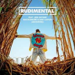 Cover art for These Days (feat. Jess Glynne, Macklemore & Dan Caplen) [Acoustic]