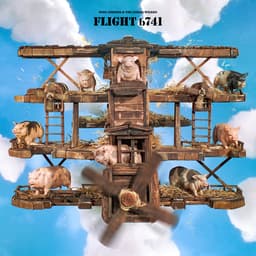 Cover art for Field of Vision