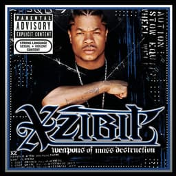 Cover art for Weapons of Mass Destruction (Explicit)