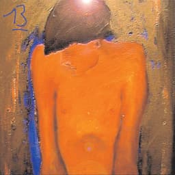 Cover art for 13 (Special Edition)