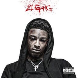 Cover art for 21 Gang