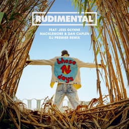Cover art for These Days (feat. Jess Glynne, Macklemore & Dan Caplen) [DJ Premier Remix]