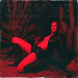Cover art for Silly Me