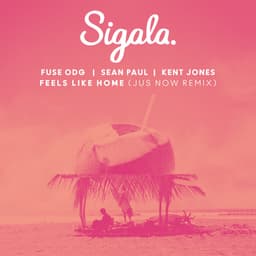 Cover art for Feels Like Home (Jus Now Remix)