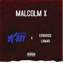 Cover art for Malcolm X