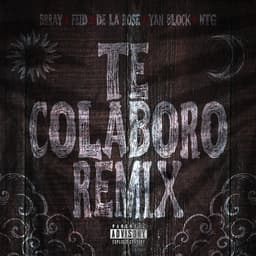Cover art for Te Colaboro (Remix)