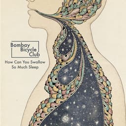 Cover art for How Can You Swallow So Much Sleep