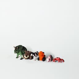 Cover art for Dance of the Crab