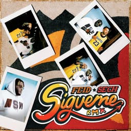 Cover art for Sígueme (Remix)