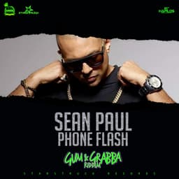 Cover art for Phone Flash - Single