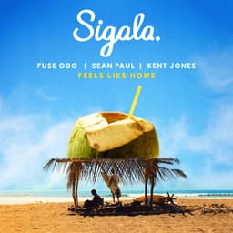Cover art for Feels Like Home (feat. Kent Jones)