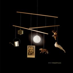 Cover art for Guericke's Unicorn