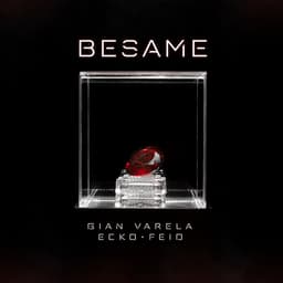 Cover art for Besame