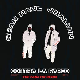 Cover art for Contra La Pared (The FaNaTiX Remix)