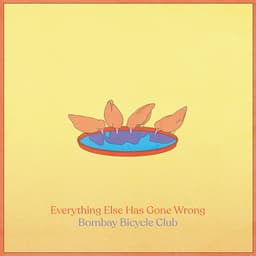 Cover art for Everything Else Has Gone Wrong