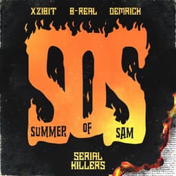 Cover art for Summer of Sam