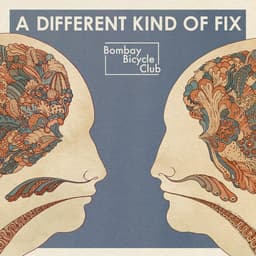 Cover art for A Different Kind Of Fix