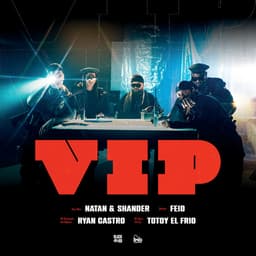 Cover art for VIP Feat. Totoy El Frio