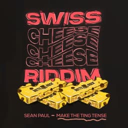 Cover art for Make the Ting Tense