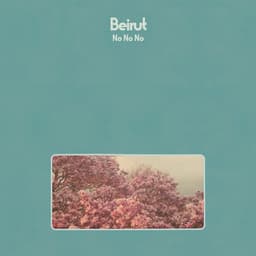 Cover art for No No No
