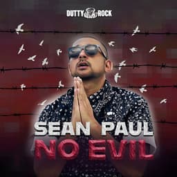 Cover art for No Evil