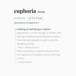 Cover art for euphoria