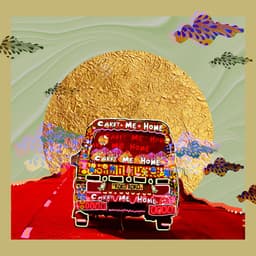 Cover art for Carry Me Home