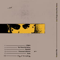 Cover art for Don't Forget About Me, Demos