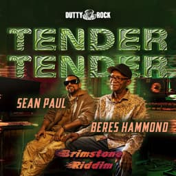 Cover art for Tender Tender