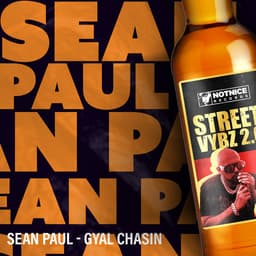 Cover art for Gyal Chasin