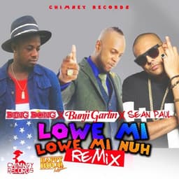 Cover art for Lowe Mi, Lowe Mi Nuh (Remix)