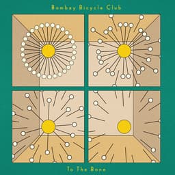 Cover art for To The Bone