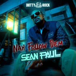 Cover art for Nah Follow Dem
