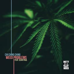 Cover art for Weed Problems (feat. Sean Paul)