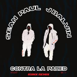 Cover art for Contra La Pared (Rynx Remix)
