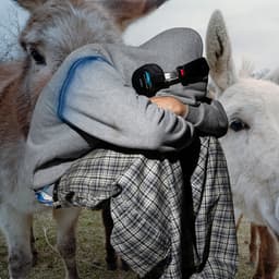 Cover art for Doggy (feat. Love Spells and Truly Young)