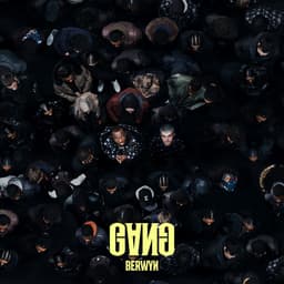Cover art for GANG (feat. BERWYN) [BERWYN Remix]