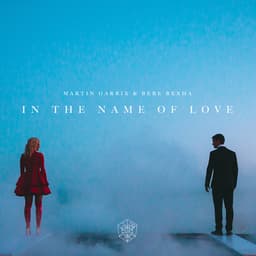 Cover art for In the Name of Love