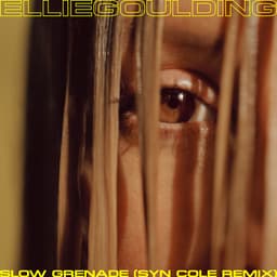 Cover art for Slow Grenade (Syn Cole Remix)