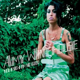 Cover art for You Know I'm No Good (Remixes & B Sides)