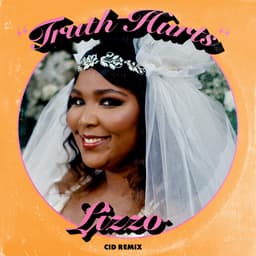 Cover art for Truth Hurts (CID Remix)