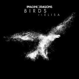 Cover art for Birds